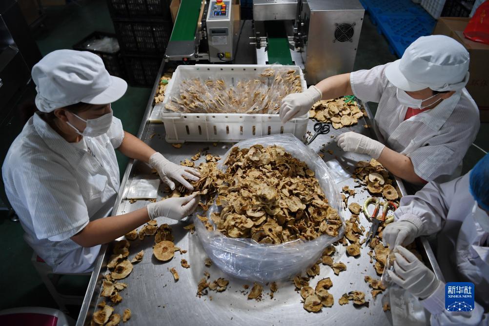 丰城瓜瓜棋牌